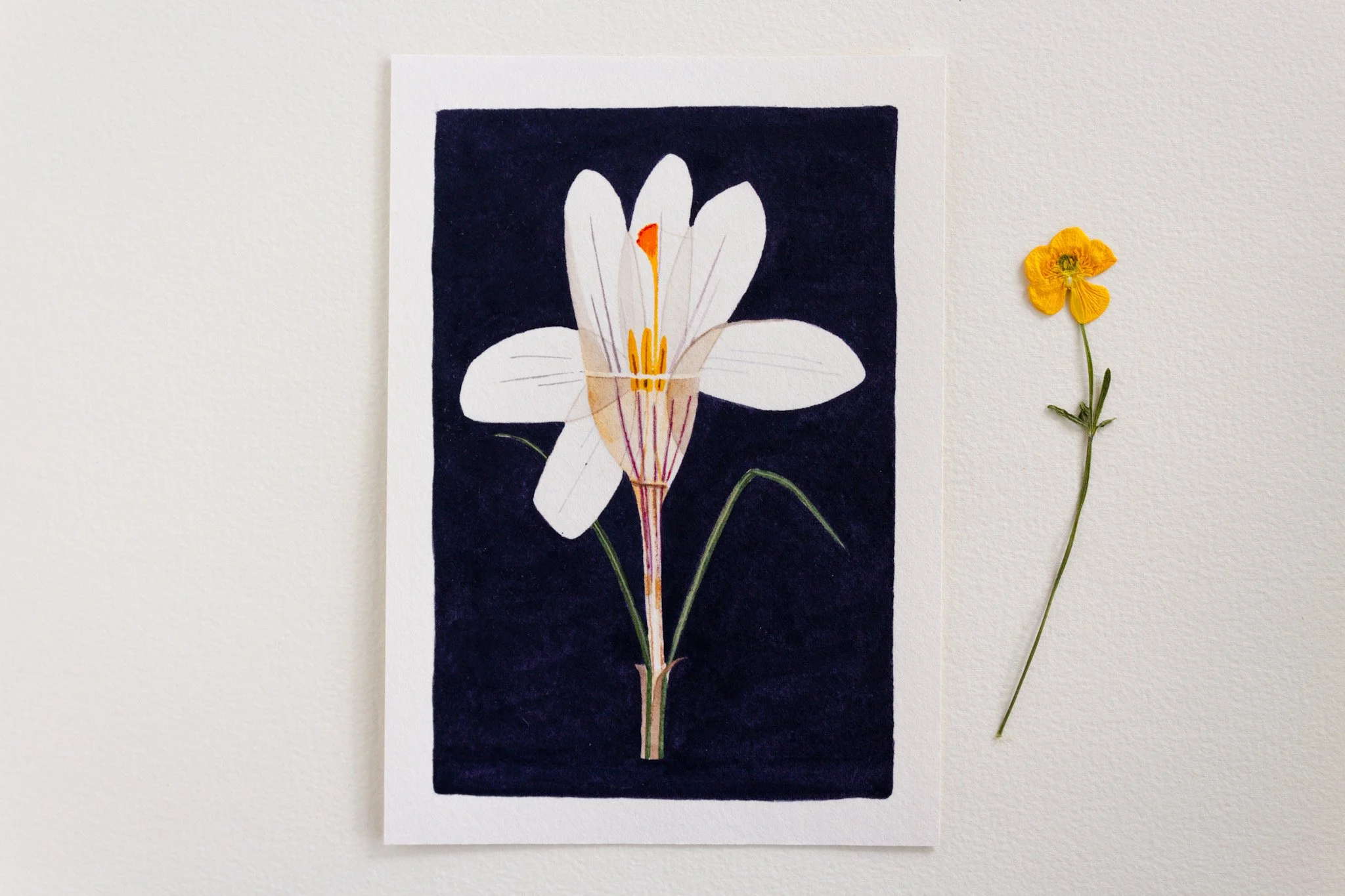 May We Fly — Watercolor Crocus Original Painting